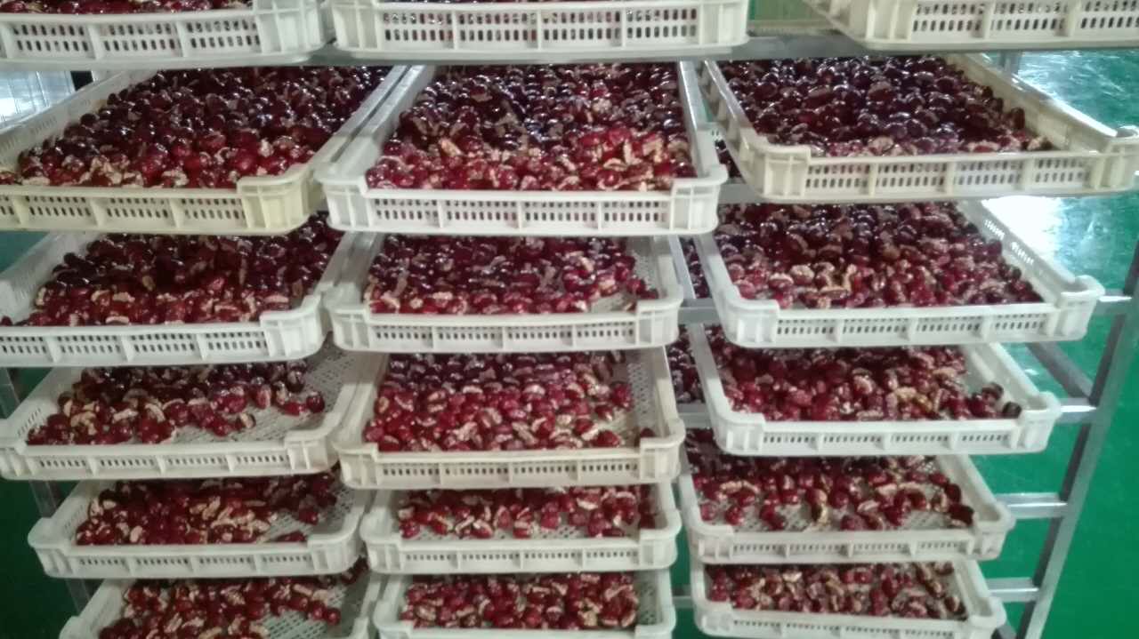 鄭州好想你紅棗